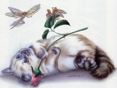 Котёнок и феи - кот - оригинал