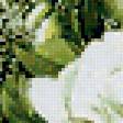 Предпросмотр схемы вышивки «Цветы» (№223808)