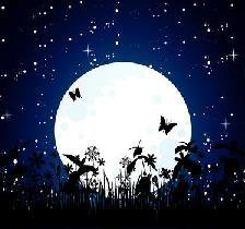 Схема вышивки «Лунный свет»