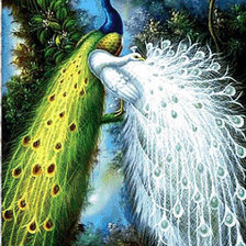 Схема вышивки «два павлина»