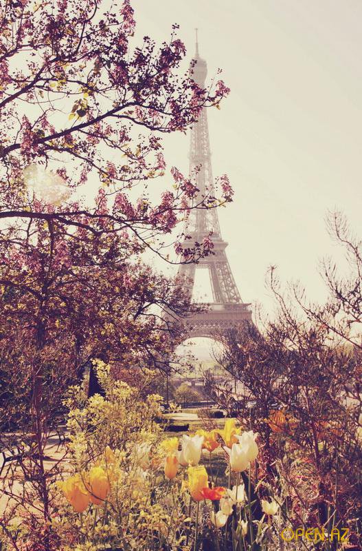 весна в Париже - эйфелевая башня, весна, природа, париж - оригинал