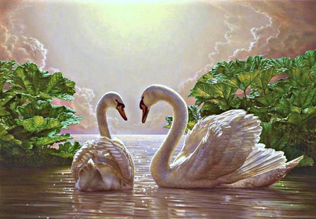 Лебединая любовь - оригинал