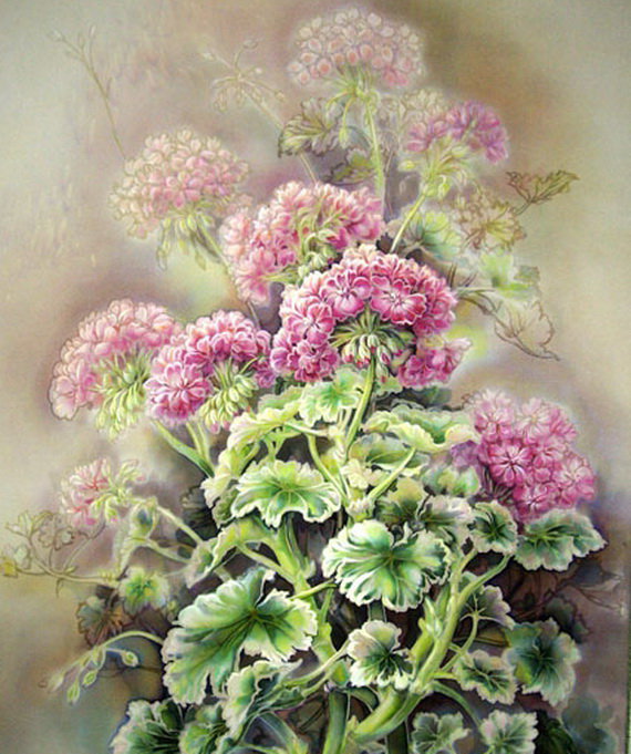 Герань - герань, букет, натюрморт, цветы, весна - оригинал