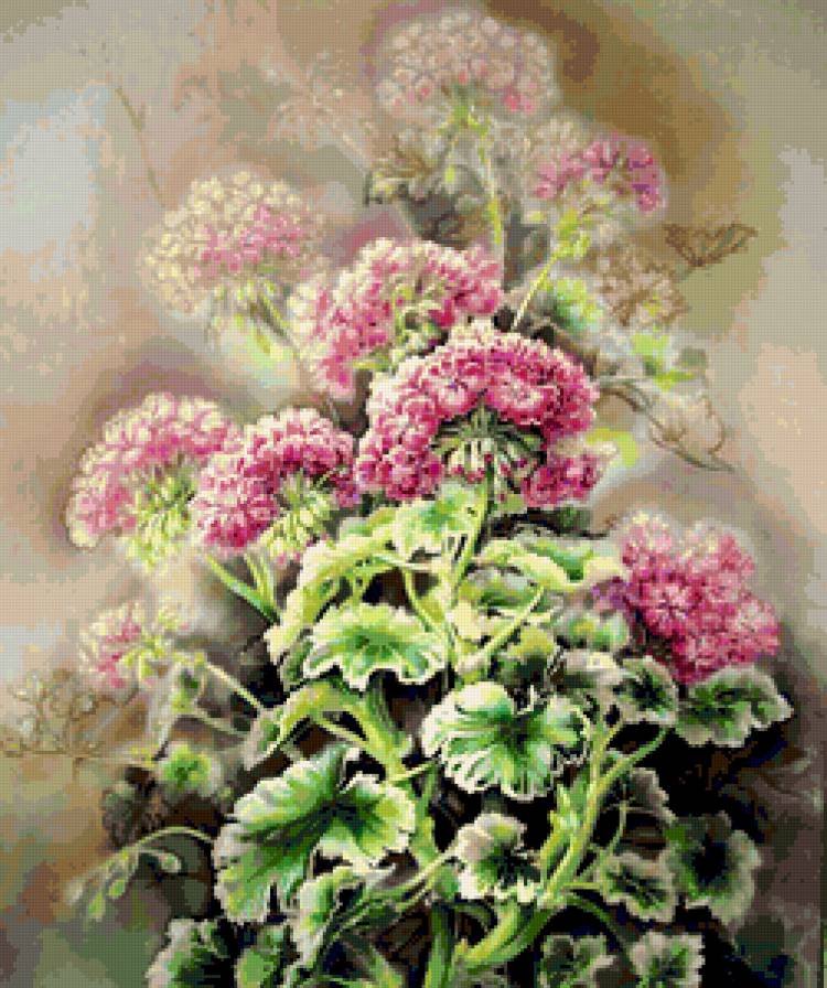 Герань - весна, герань, натюрморт, букет, цветы - предпросмотр