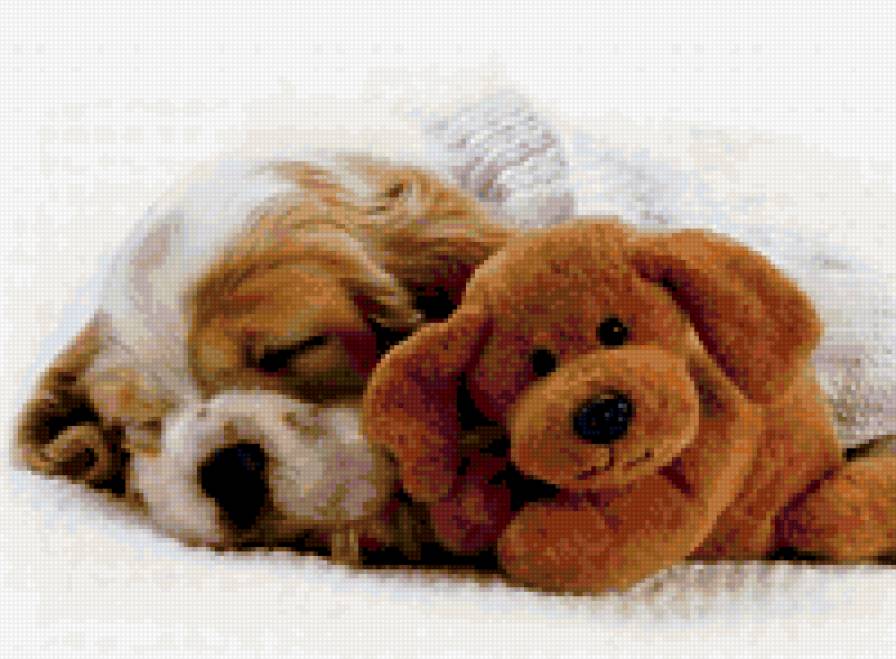 007 - щенок, собака, игрушка, сон - предпросмотр