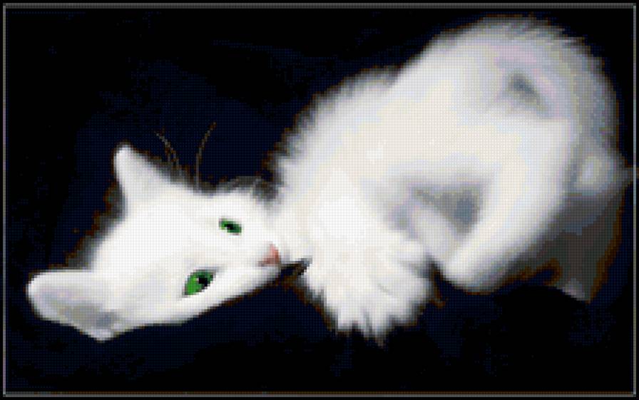 киса - кошка, черно-белое, котенок - предпросмотр