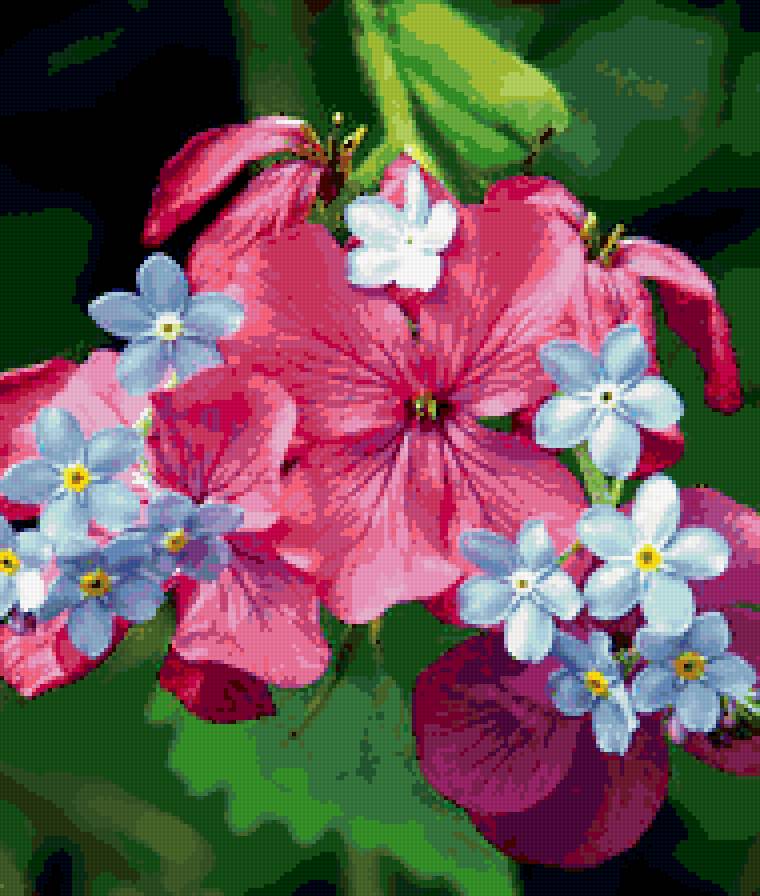 008 - красота, цветы - предпросмотр