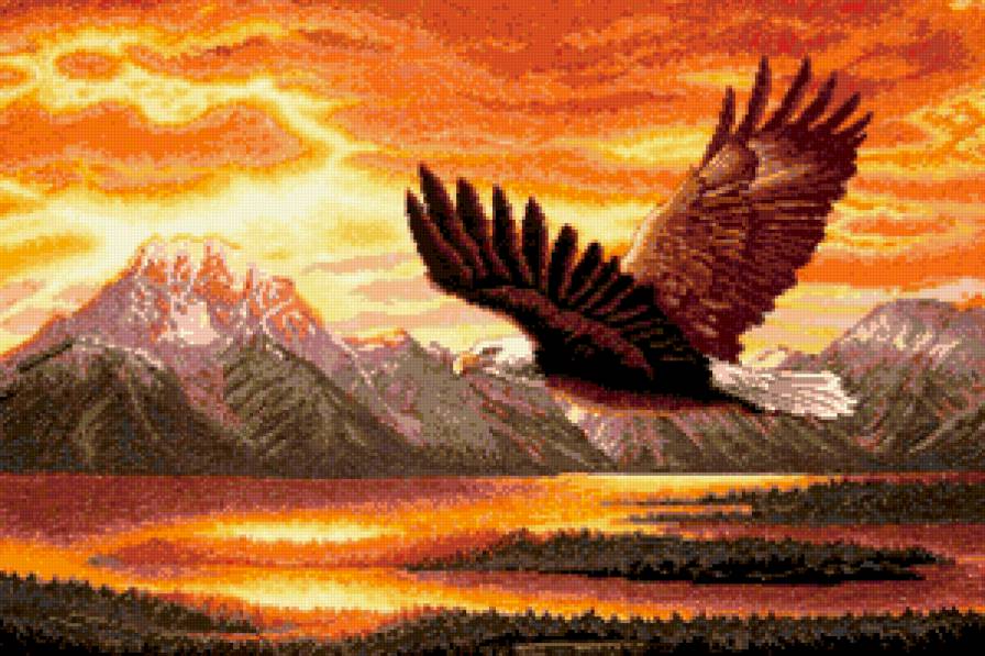 Король неба - птицы - предпросмотр