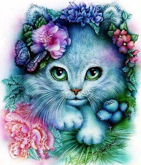 кошка - цветы, муська, животные, кошка - оригинал