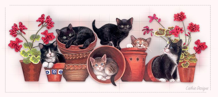 Котята в цветочных горшках - кот, цветы - оригинал