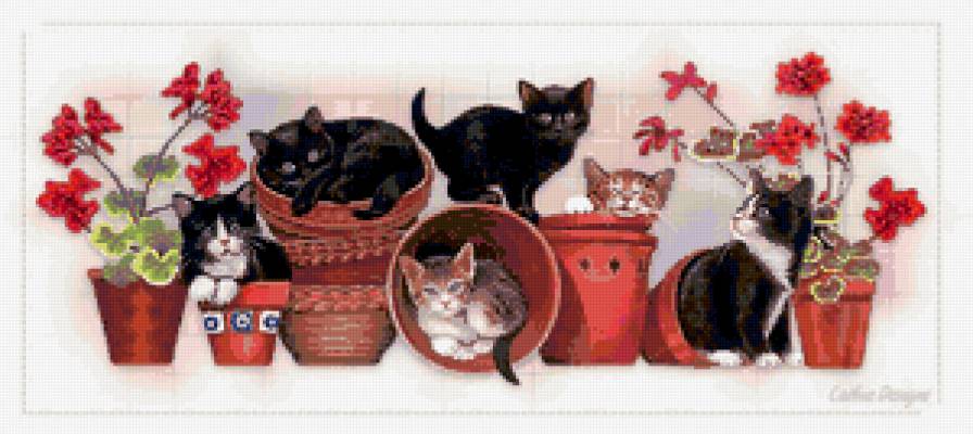 Котята в цветочных горшках - цветы, кот - предпросмотр