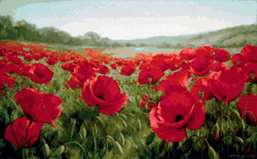Маковое поле - пейзаж, поле, мак, цветы - предпросмотр