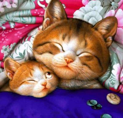 Котята - кот, отдых - оригинал