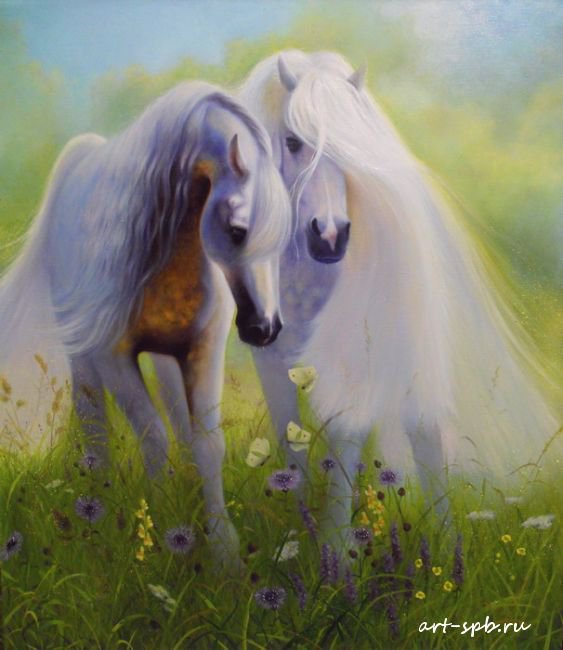 белые лошади - лошадь, конь - оригинал
