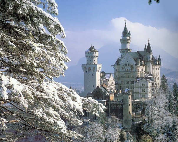 №224675 - оригинал