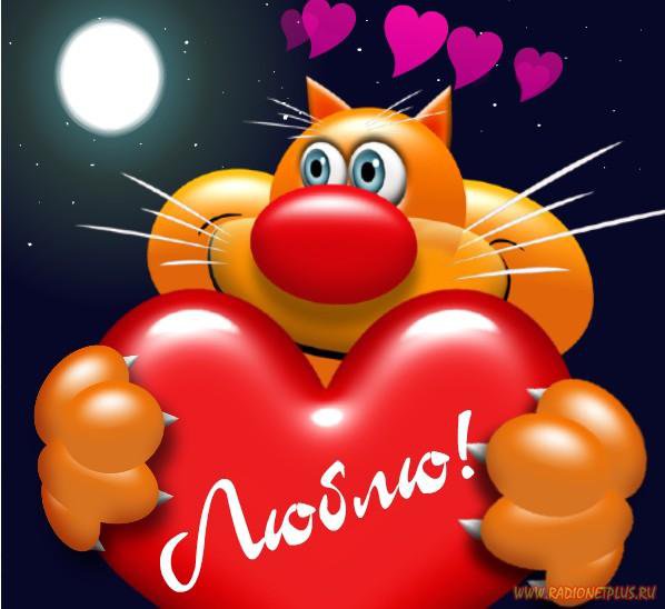 №224755 - оригинал