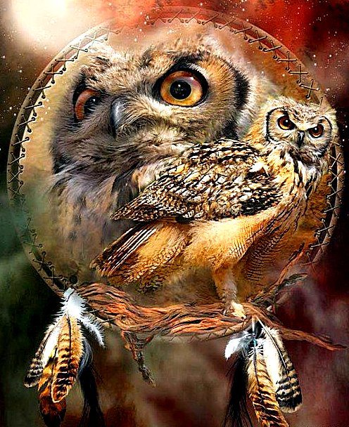 Индейские мотивы - бубен, перья, индейцы, совы, шаман - оригинал