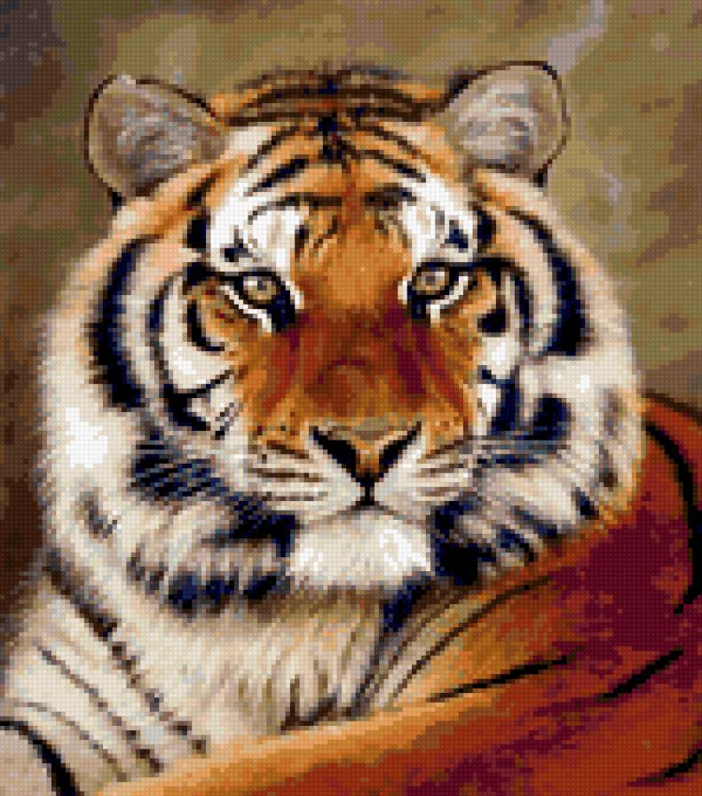 Tigris - предпросмотр