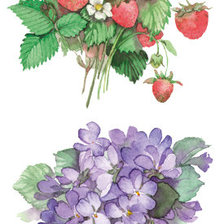 Оригинал схемы вышивки «цветы и ягоды» (№224912)