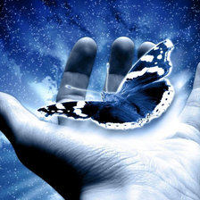 Схема вышивки «Бабочка на ладони»