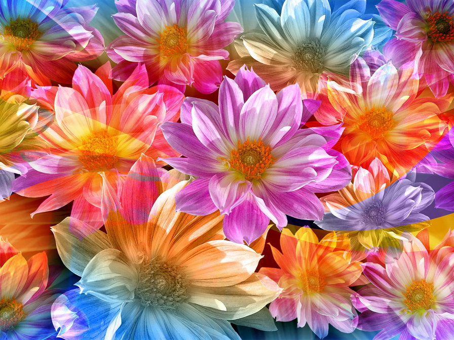 Веселые цветочки - цветы - оригинал