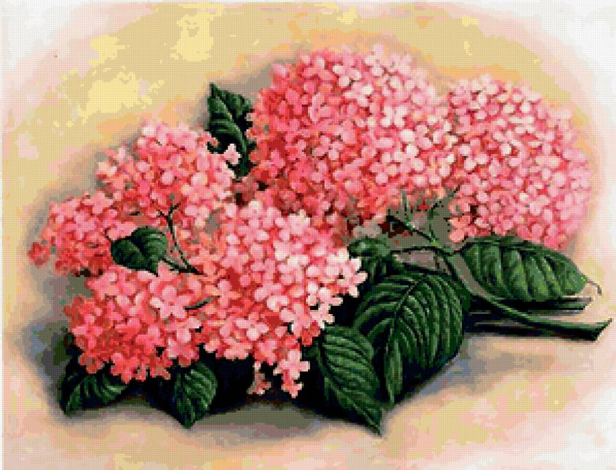 №224959 - предпросмотр