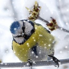 Схема вышивки «№225143»