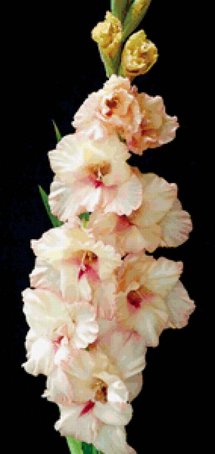 №225171 - цветы - предпросмотр