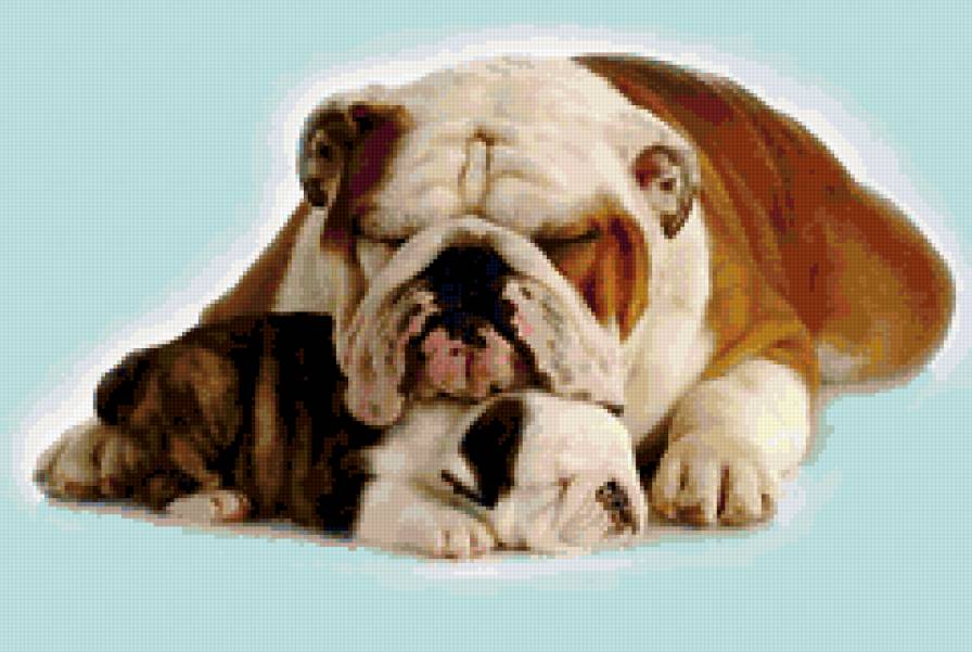 Мама и детя - собаки, животные - предпросмотр