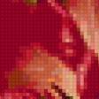 Предпросмотр схемы вышивки «Tulipán» (№225271)