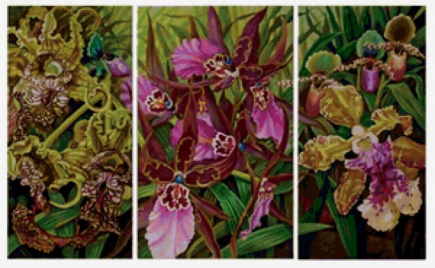 ОРХИДЕЯ - орхидея, триптих, полиптих, цветы, экватор, диптих - предпросмотр