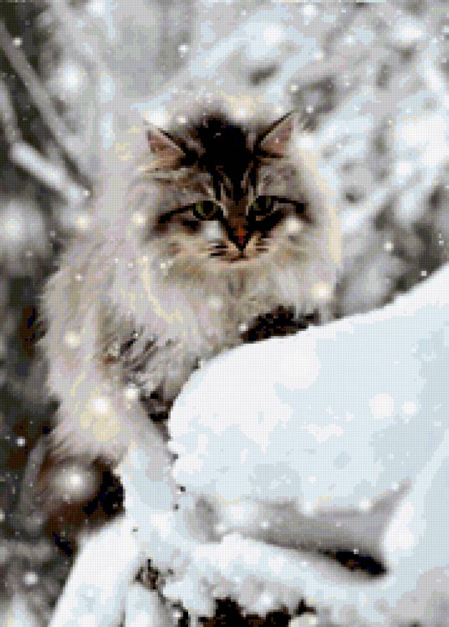 №225444 - кот - предпросмотр