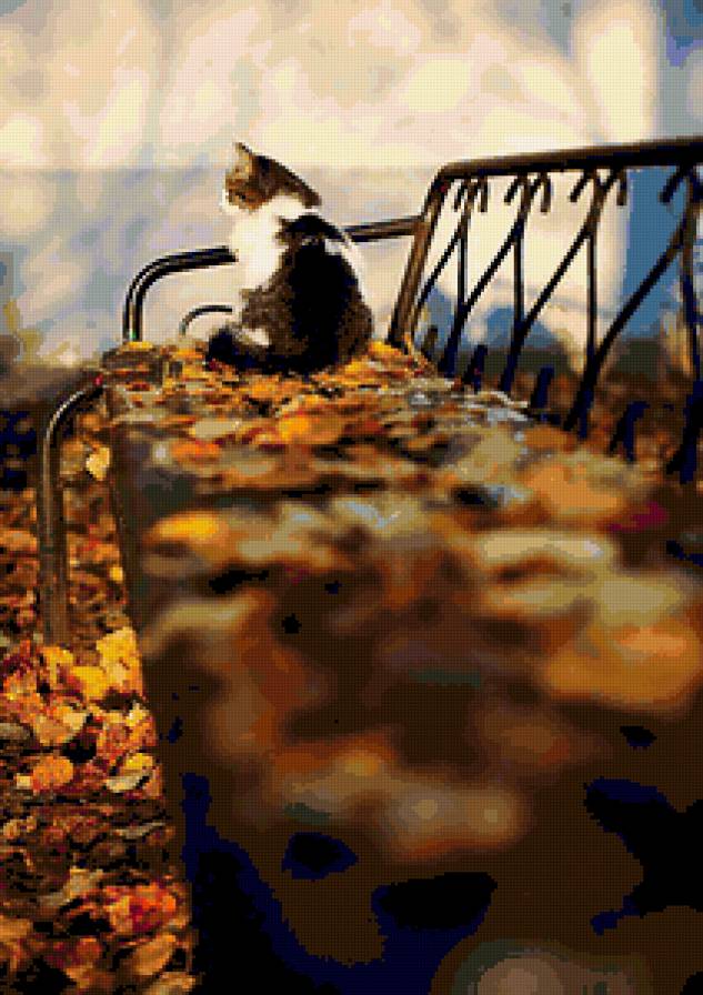 №225447 - кот - предпросмотр