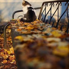 Схема вышивки «№225447»