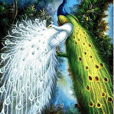 Схема вышивки «павлины»