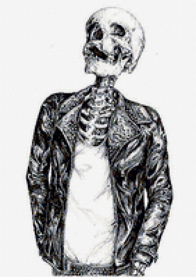 скелет в косухе - предпросмотр