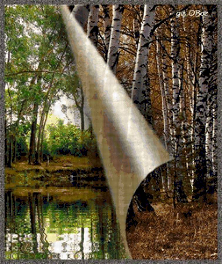 Смена года - лето, лес, береза, осень, времена года, пейзаж, березы, река - предпросмотр