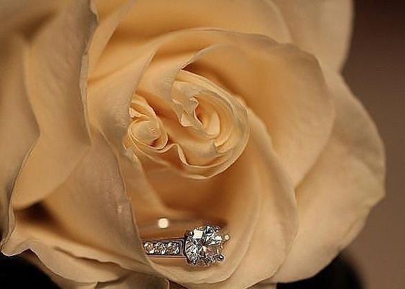 011 - роза, свадьба, кольцо, цветы - оригинал