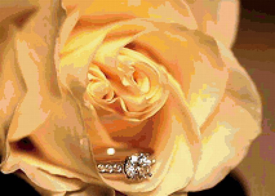 011 - цветы, роза, свадьба, кольцо - предпросмотр