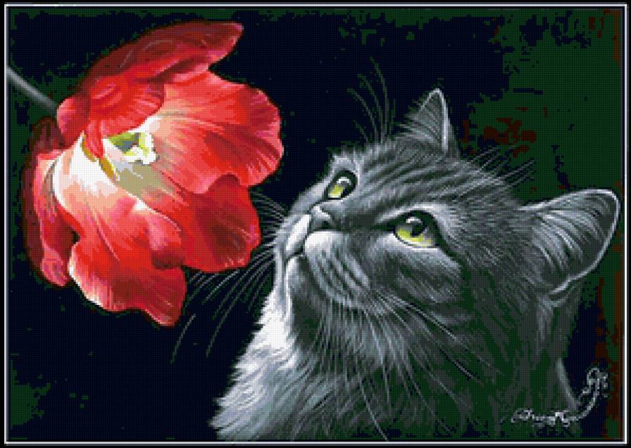 №225702 - цветы, кот - предпросмотр