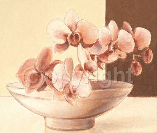 №225758 - оригинал