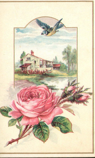 роза - цветы - оригинал