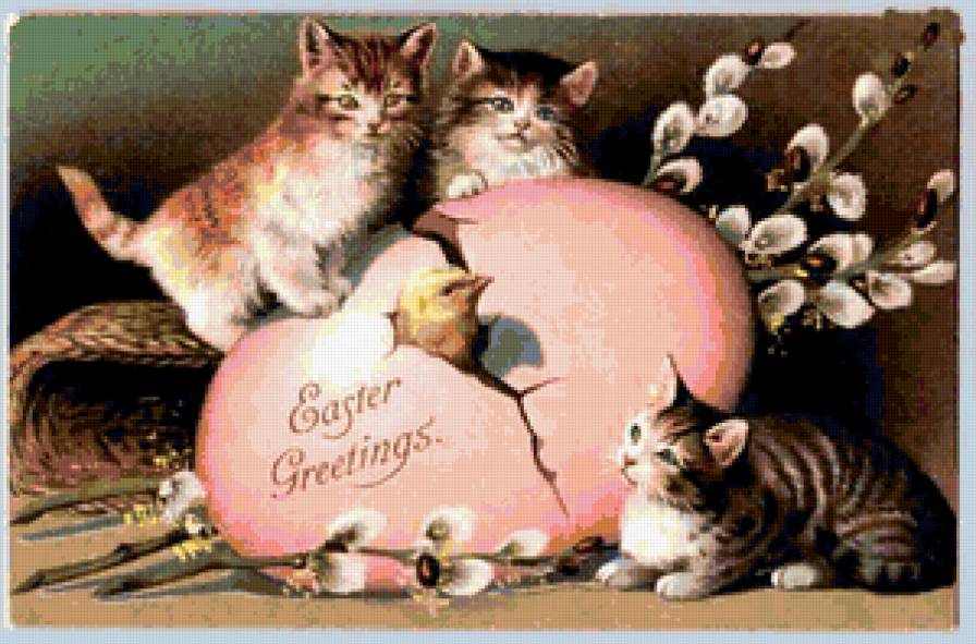 я родился - сказки - предпросмотр