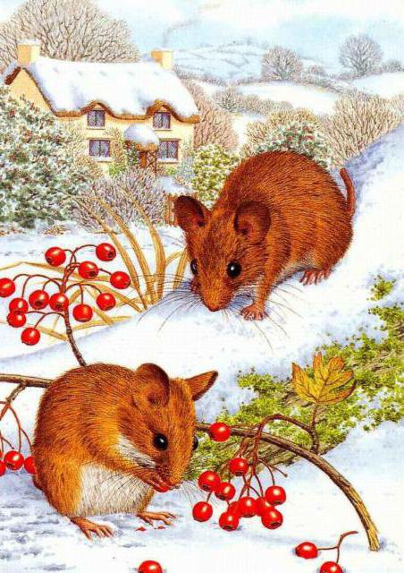 Мышки - мышка, детям, природа, пейзаж, пара, мышки, зима - оригинал