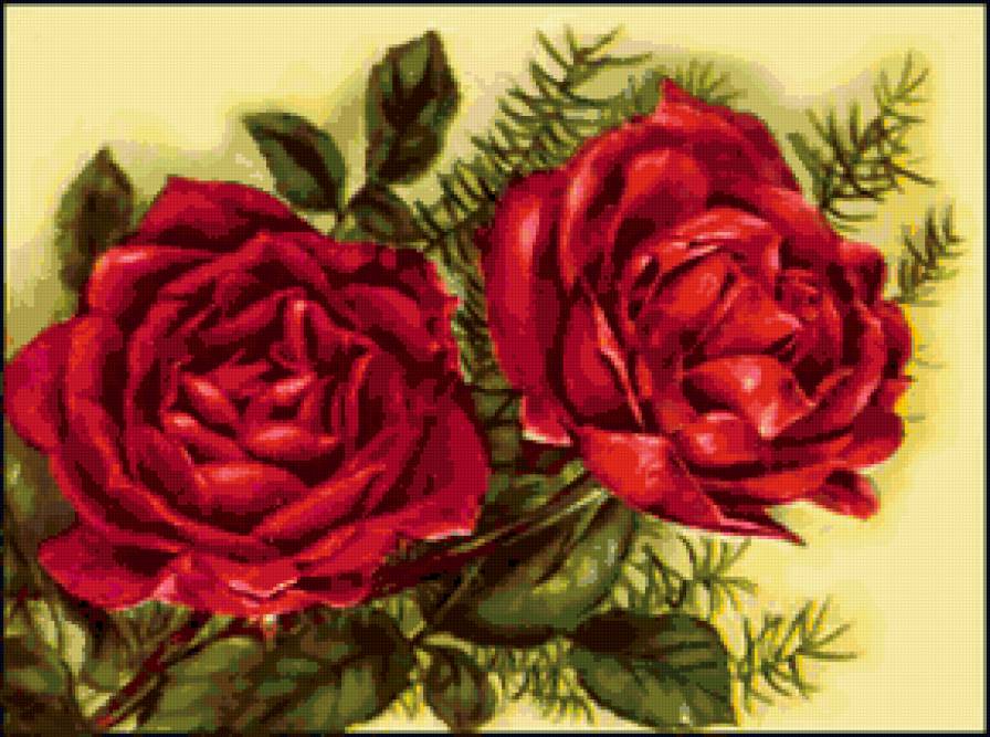 розы - цветы - предпросмотр