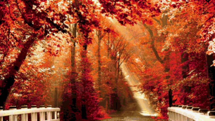 Осень золотая - парк, осень, пейзаж - предпросмотр