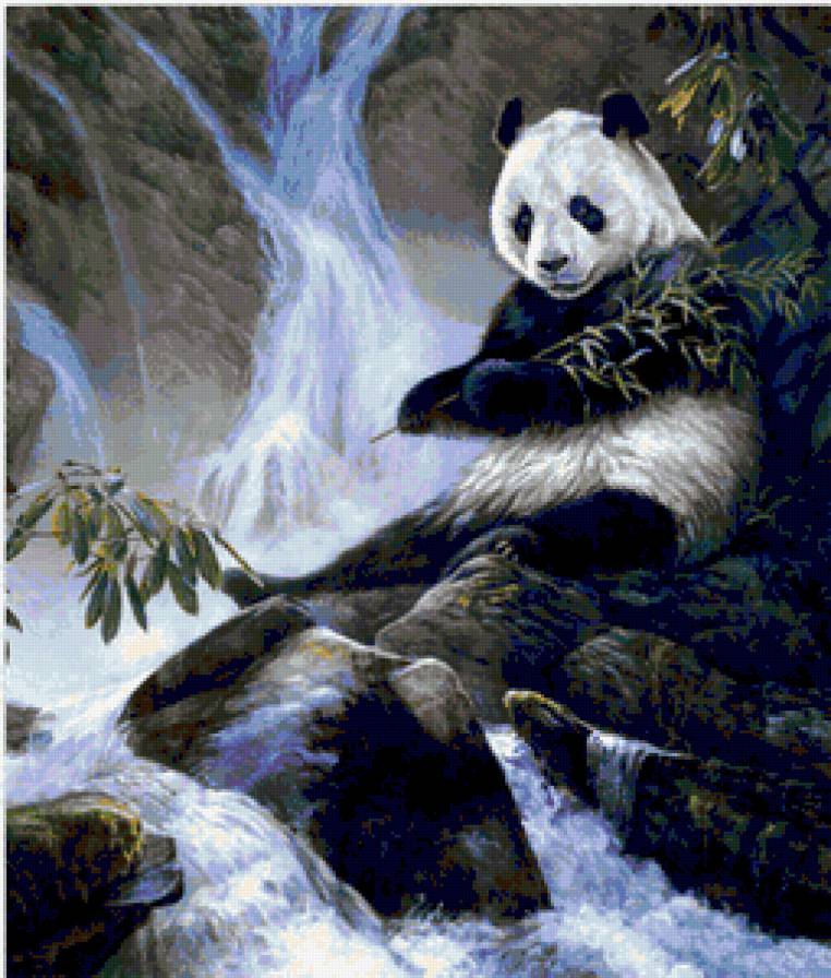 №226115 - предпросмотр