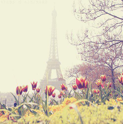 Тюльпаны и Эйфелева башня - тюльпаны, небо, париж, франция, эйфелева башня - оригинал
