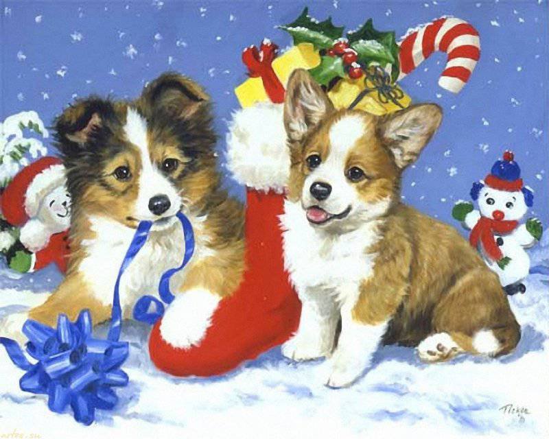 новогоднее настроение - щенки. животные, новый год, праздники, собачки - оригинал