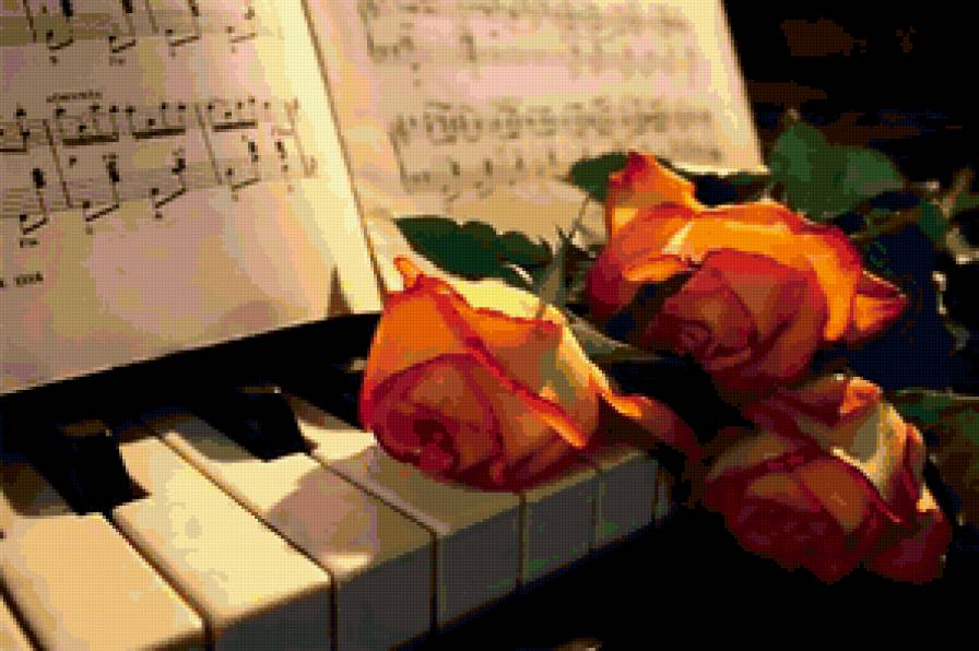 розы - цветы - предпросмотр